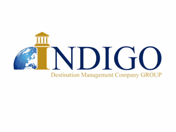 indigo dmc group